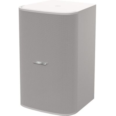 BOSE DESIGNMAX DM10S-SUB 10" SUBWOOFER (WHITE)