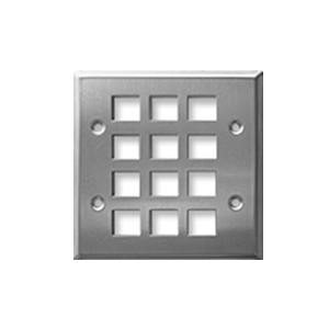 DYNACOM DOUBLE-GANG 12-HOLE FACEPLATE, STAINLESS STEEL