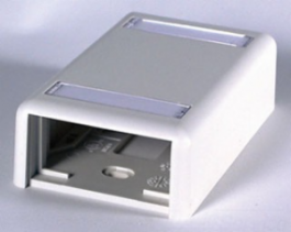 NEW Ortronics OR-40400049 Fog White Surface mount Series II 2 Module 