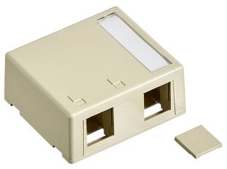 DYNACOM 2-PORT SURFACE MOUNT BOX (IVORY)