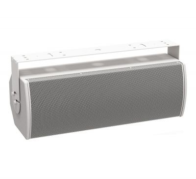 BOSE ARENAMATCH AMU208 UTILITY OUTDOOR LOUDSPEAKER WITH 8" WOOFER (WHITE)