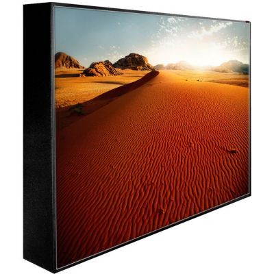 PEERLESS XTREME 42" OUTDOOR DAYLIGHT READABLE LANDSCAPE DISPLAY HD LCD TV