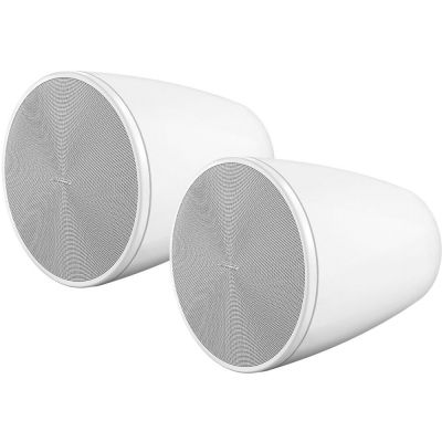 BOSE DESIGNMAX DM6PE 6.5" PENDANT LOUDSPEAKERS (WHITE) (PAIR)