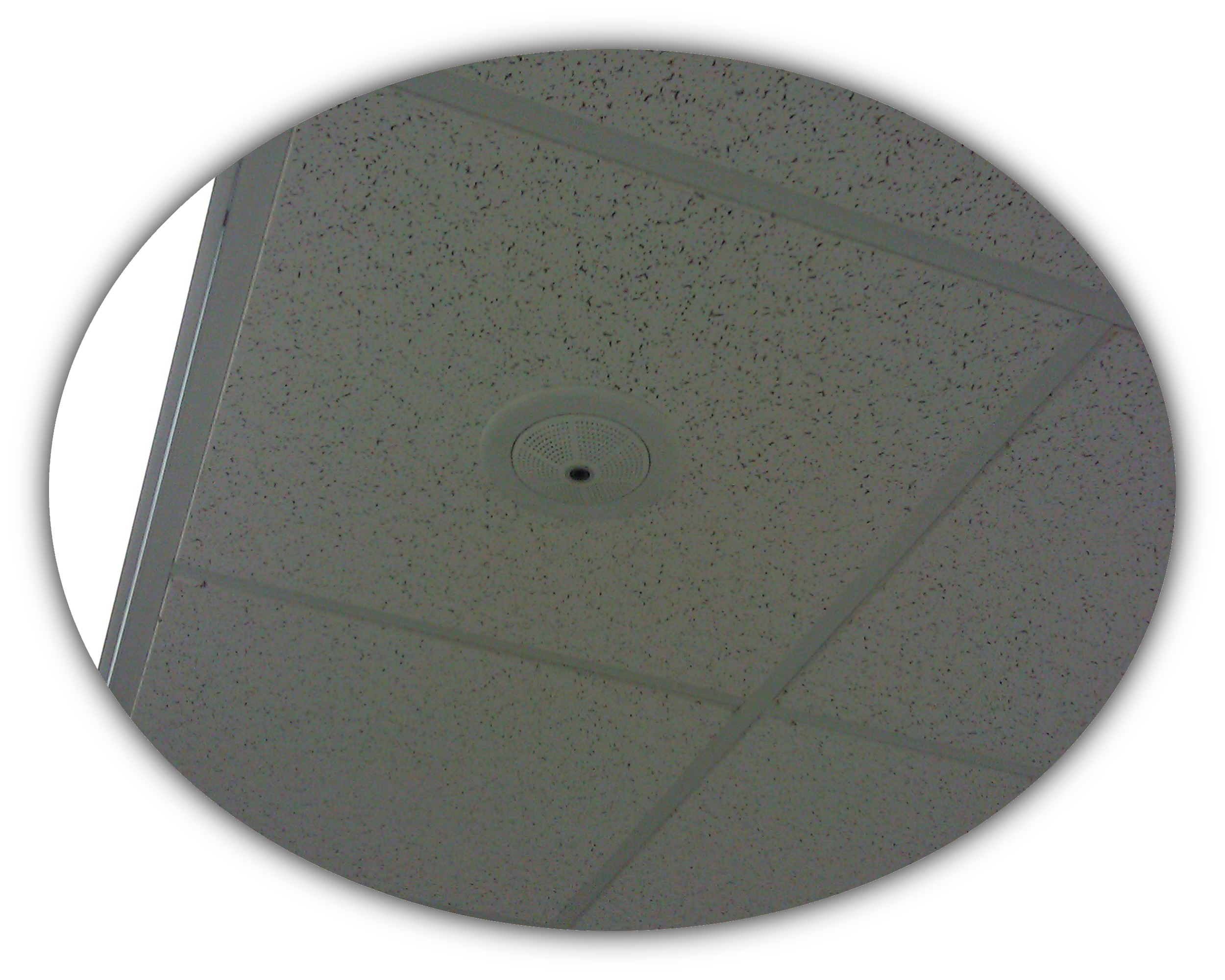Mobotix Q25 180° Camera In-Ceiling